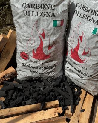Carbone NATURALE di leccio