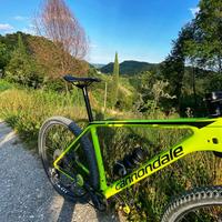 Cannondale F-SI Carbon 3