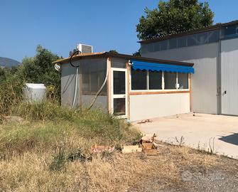 FALL 8/2017 Trib Patti - LOTTO 3