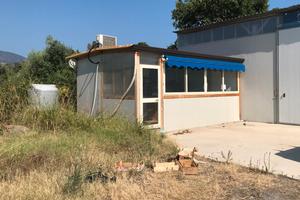 FALL 8/2017 Trib Patti - LOTTO 3