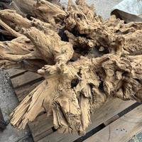 Radice in legno
