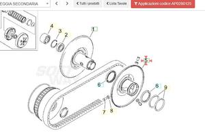 Puleggia secondaria esterna Aprilia Leonardo 125 A