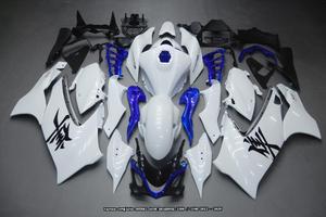 Carena per SUZUKI HAYABUSA 1300 / 1340 2021 - 2025