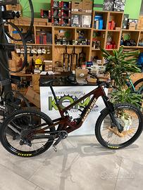 Santa cruz bronson