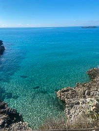 Appartamento marina di camerota