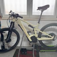 E-bike Focus thron 6.8  750wh/85Nm