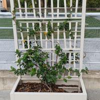 Fioriera con grigliato