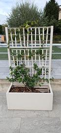 Fioriera con grigliato