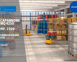 Capannone 4250 mq Farra di Soligo (TV) Rif. 2300