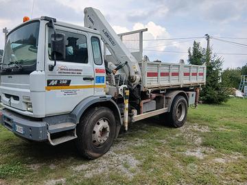 Camion renault midliner 250 con gru