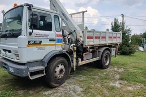 Camion renault midliner 250 con gru