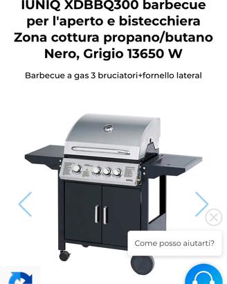 Barbecue a gas