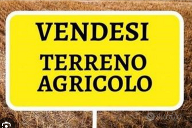Terreno A Sant' Arpino