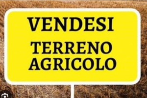 Terreno A Sant' Arpino