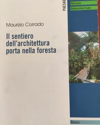 Il sentiero dell'architettura porta nella foresta