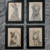 Quadro malinois chihuahua border collie labrador