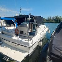 Space 290 Open diesel Valut. Permuta