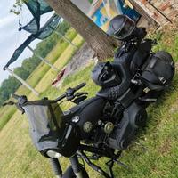 dyna street bob club style