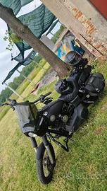 dyna street bob club style