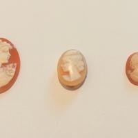 Set di tre cammei su conchiglia, da montare. 