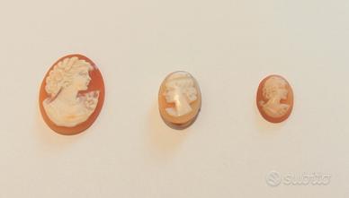 Set di tre cammei su conchiglia, da montare. 