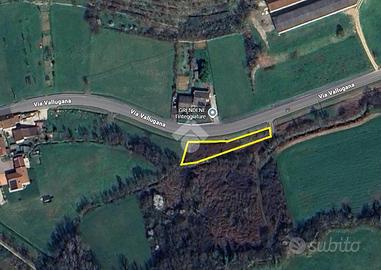 TER. AGRICOLO A MALO