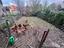 Immagine 28
