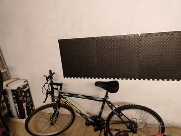 Bicicletta per ragazzo