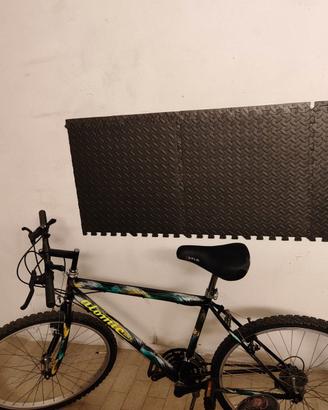 Bicicletta per ragazzo