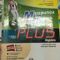 Matematica teor. eserc. Algebra, 9788880428473