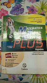 Matematica teor. eserc. Algebra, 9788880428473