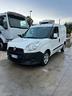 fiat-doblo-frigorifero-isotermico-con-atp