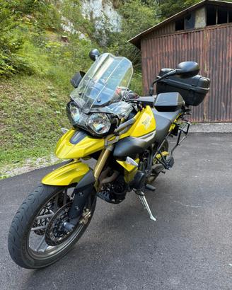 Triumph tiger 800