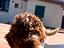 Immagine 6