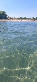 Corsica villino sul mare LAST MINUTE