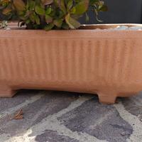 Sei vasi in resina. Perfetti.