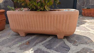 Sei vasi in resina. Perfetti.