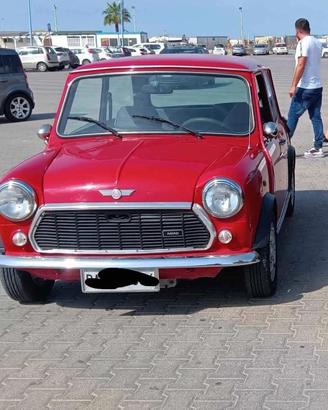 Mini Rover