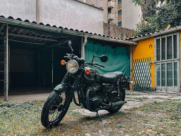 Kawasaki W800 - Black Edition 2016