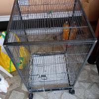 gabbia voliera 50 per 50 alta 90