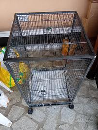 gabbia voliera 50 per 50 alta 90