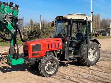 Same dorado frutteto 100