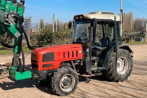 Same dorado frutteto 100