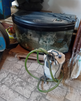 Aquario