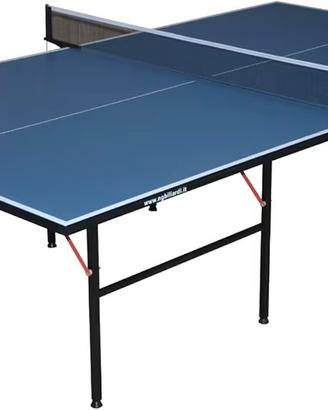 Tavolo da ping pong