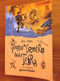 libro Viaggio  al  centro della  terra 