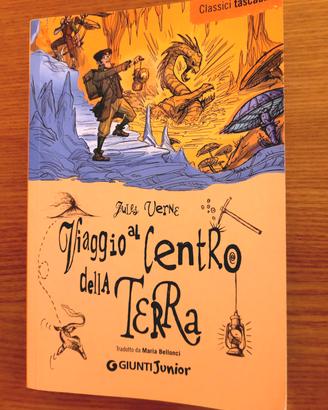 libro Viaggio  al  centro della  terra 