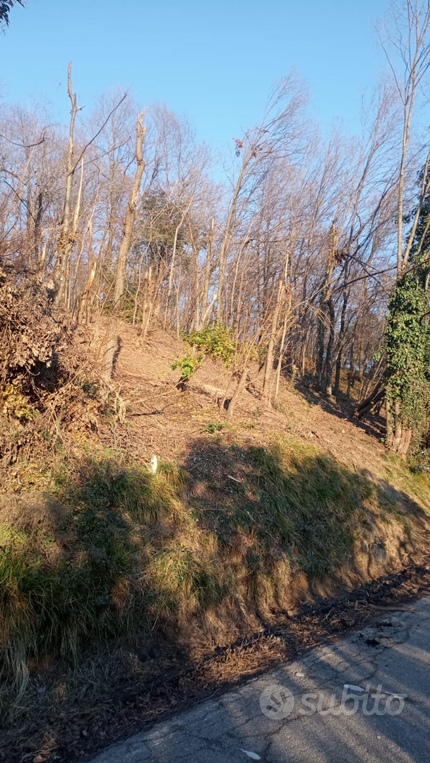 Terreno agricolo a uso bosco - Vista 3