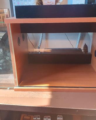 teca in vetro e legno per piccoli rettili