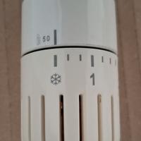 Valvole termostatiche per radiatori